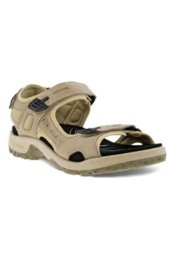 ECCO Riemensandalette - Beige -Modekleidung f33274b67e5c467ca1287babf50b61d0